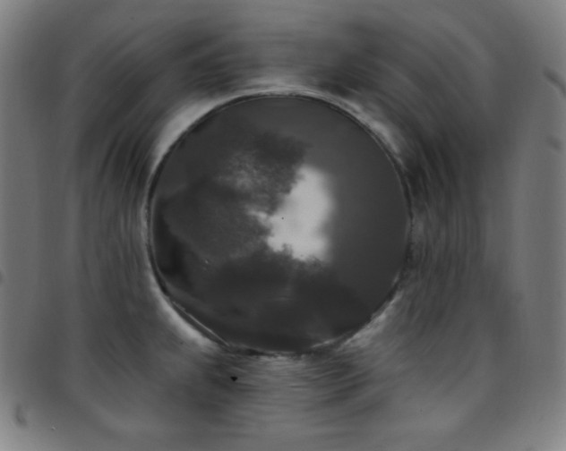 X0000097791239200803071405