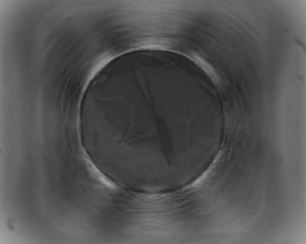 X0000097791240200803071405