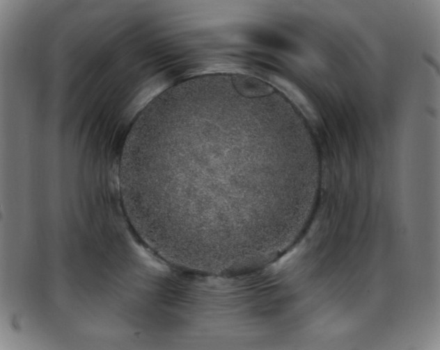 X0000097791241200803071405