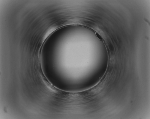 X0000097791242200803071405