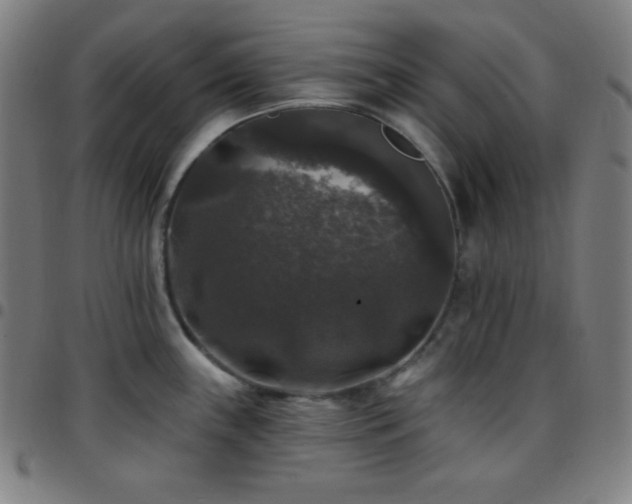 X0000097791243200803071405