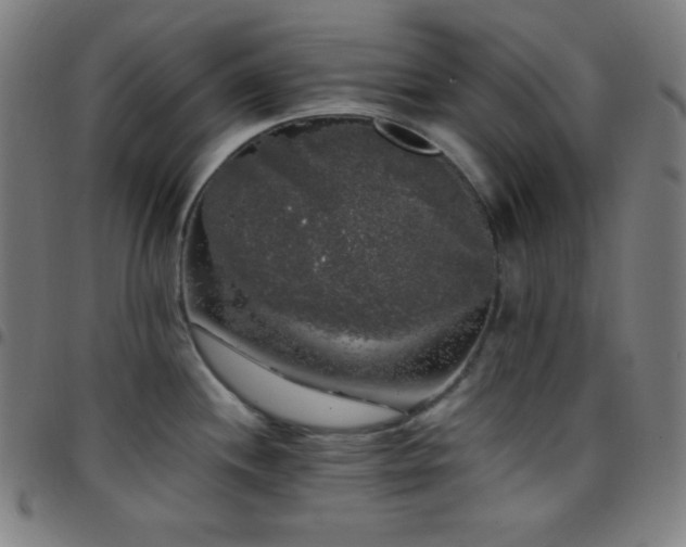 X0000097791244200803071405