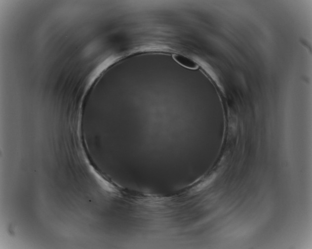 X0000097791245200803071405