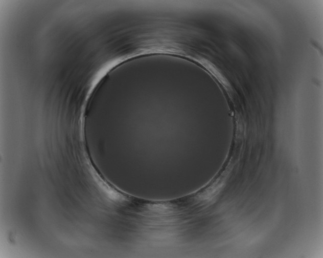 X0000097791246200803071405