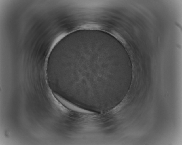 X0000097791248200803071405