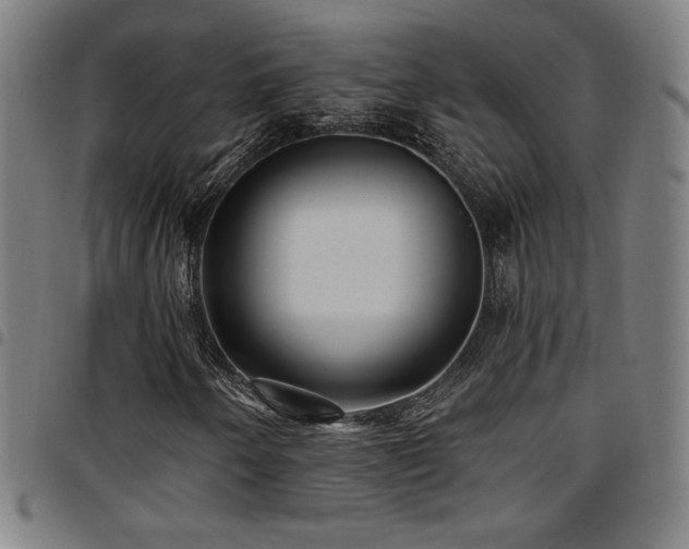 X0000097791250200803071404