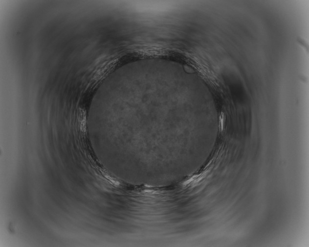 X0000097791251200803071404