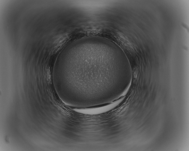 X0000097791252200803071404