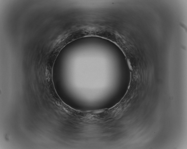 X0000097791253200803071404