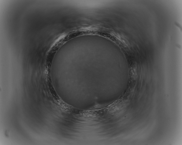 X0000097791254200803071404