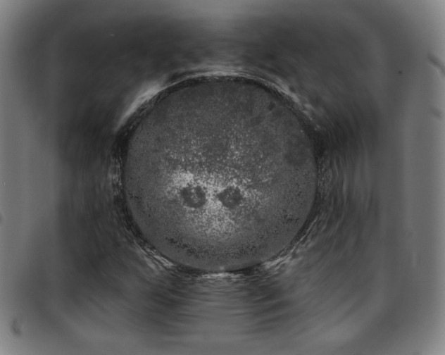 X0000097791255200803071404