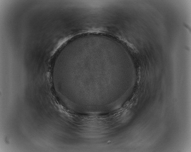 X0000097791256200803071404