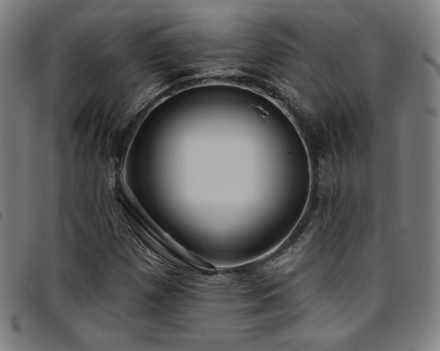 X0000097791257200803071404