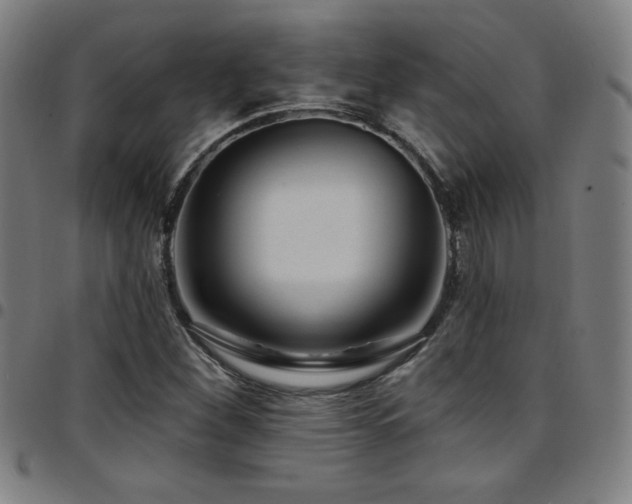 X0000097791260200803071404
