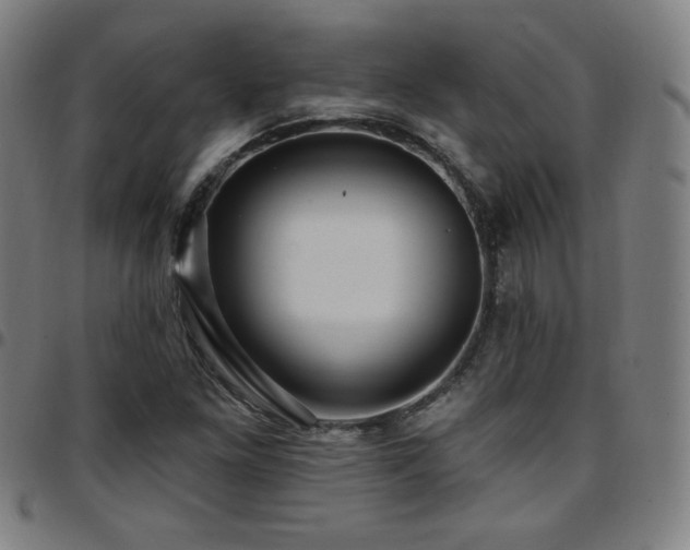 X0000097791261200803071404