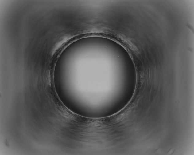 X0000097791262200803071404