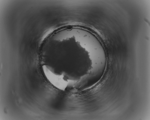 X0000097791263200803071404