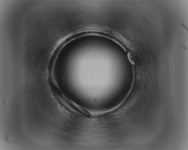 X0000097791264200803071404