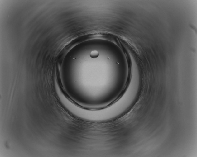 X0000097791265200803071404