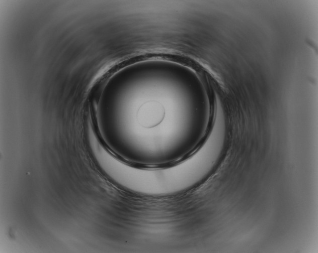 X0000097791266200803071404