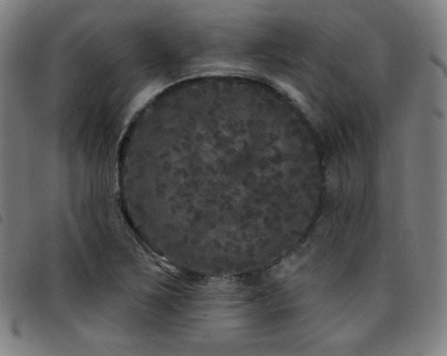 X0000097791267200803071404