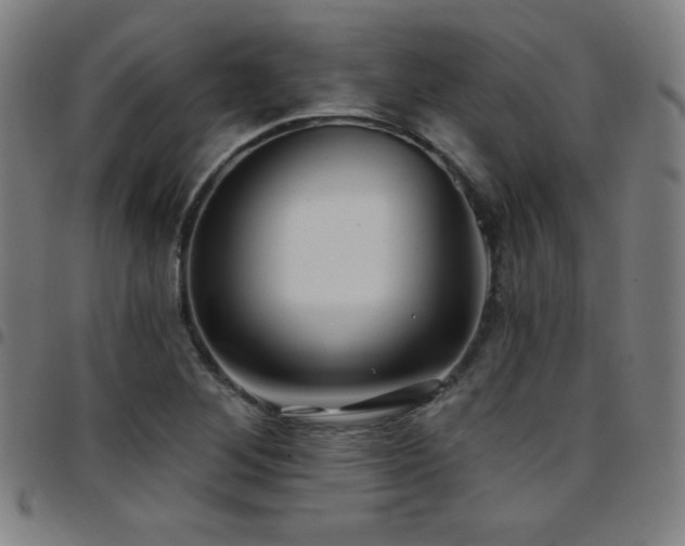 X0000097791268200803071404