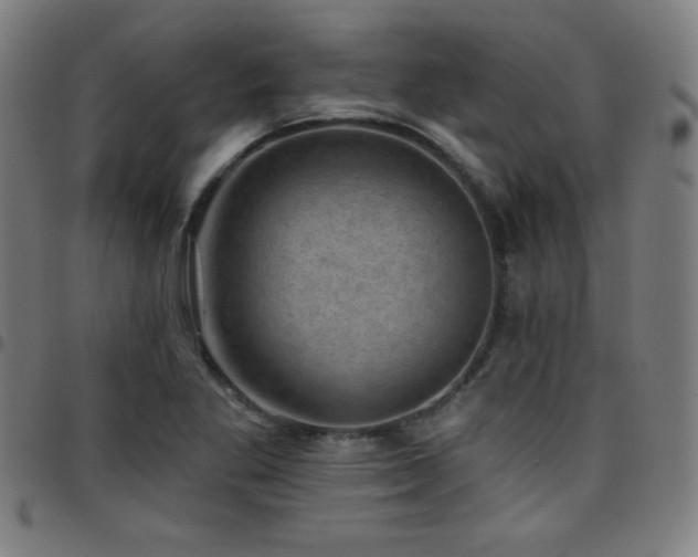 X0000097791269200803071404