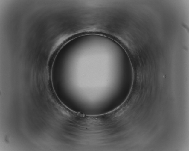 X0000097791270200803071404