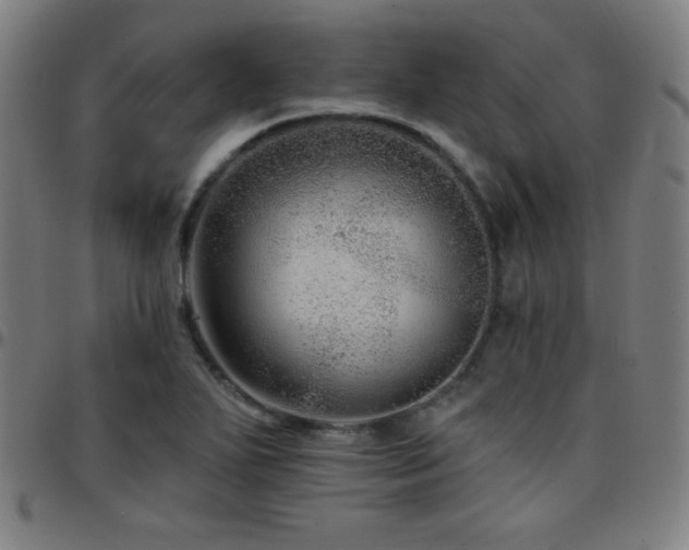 X0000097791271200803071404