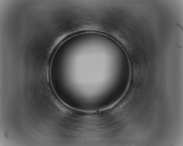 X0000097791272200803071404