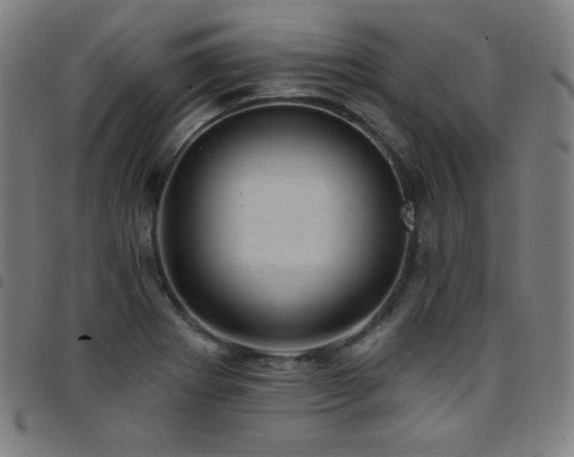 X0000097791273200803071404
