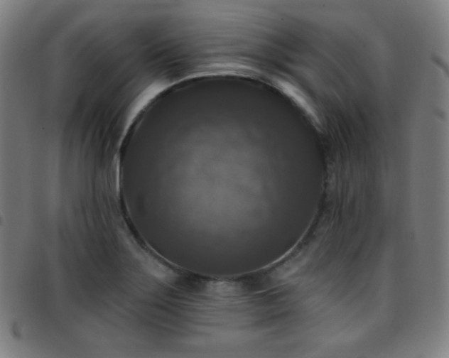X0000097791275200803071404