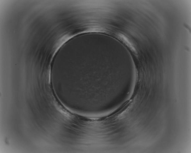 X0000097791276200803071404