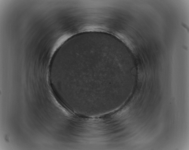 X0000097791277200803071404