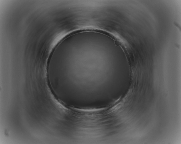 X0000097791279200803071404