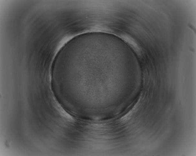 X0000097791280200803071404
