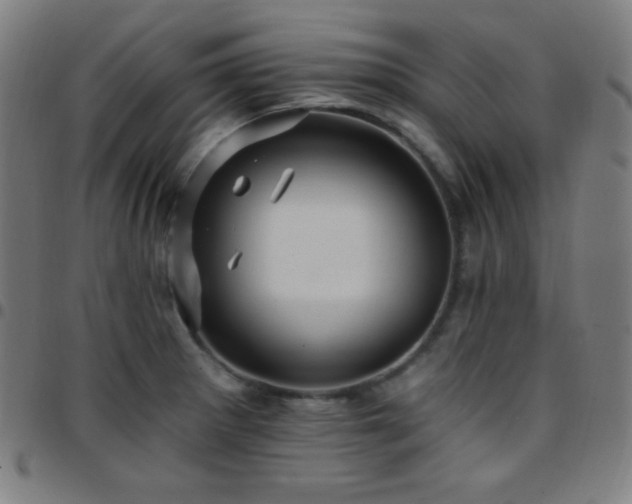 X0000097791281200803071404