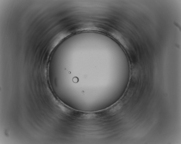 X0000097791282200803071404