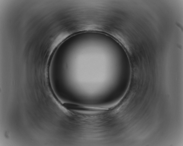 X0000097791285200803071404