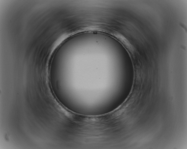 X0000097791286200803071404