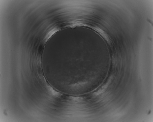 X0000097791289200803071404