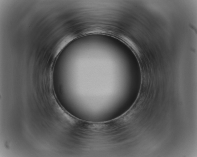 X0000097791290200803071404