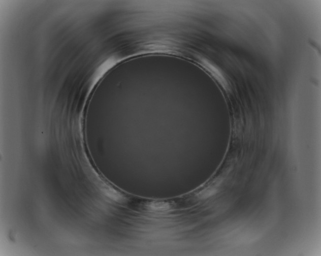 X0000097791291200803071404