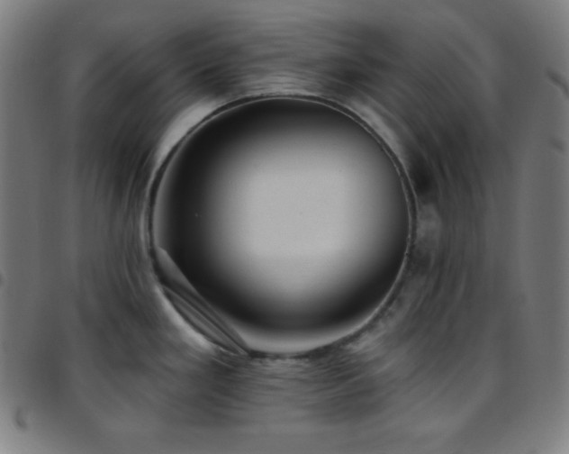 X0000097791293200803071404