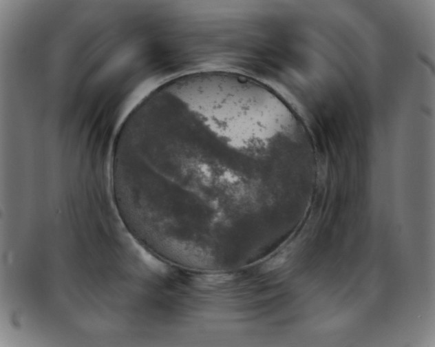X0000097791294200803071404