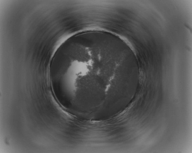 X0000097791295200803071404