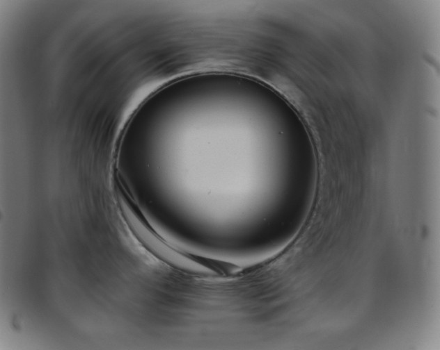 X0000097791296200803071404