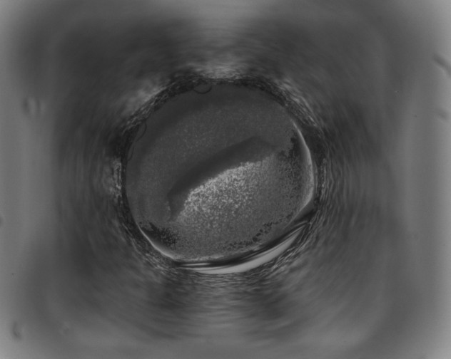 X0000097791301200803071403