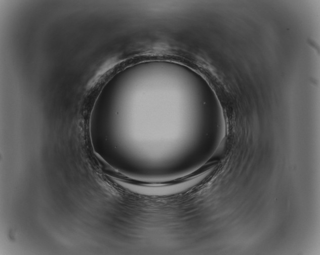 X0000097791304200803071403