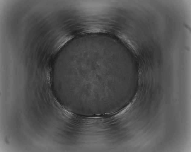 X0000097791305200803071403